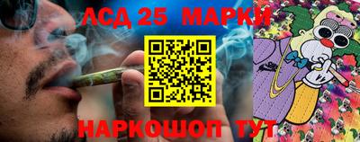 гашик Краснознаменск