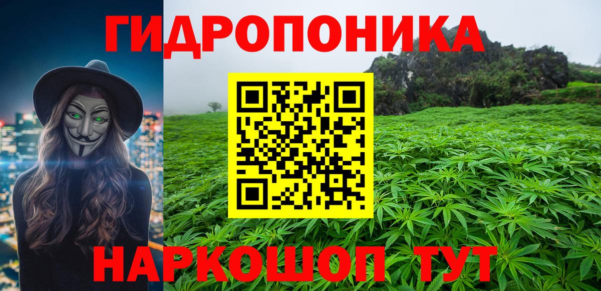 Конаково  Канабис индика  Каннабис Bruce Banner  Бошки Шишки конопля  Вход с VPN 